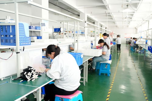 濰坊綜合保稅區 深化金融服務創新，無形資產變“真金白銀”，技術服務助力企業發展